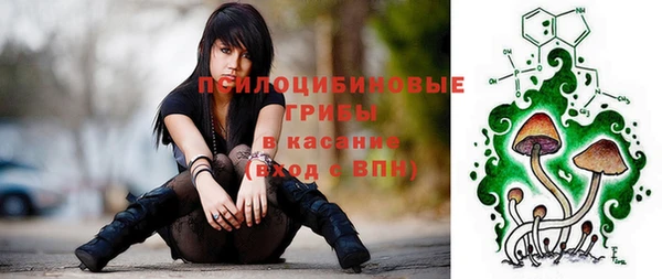 крисы Беломорск
